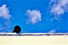 dailyPhoto25